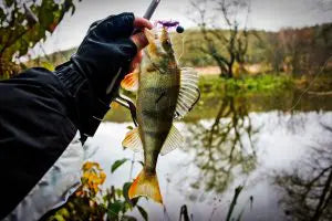 Les jigs de Bibittes Mme. Jigger avec les leurres souples Malades de Pêche : pour des pêches de malade!