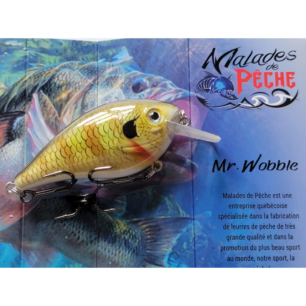 poisson nageur perchaude