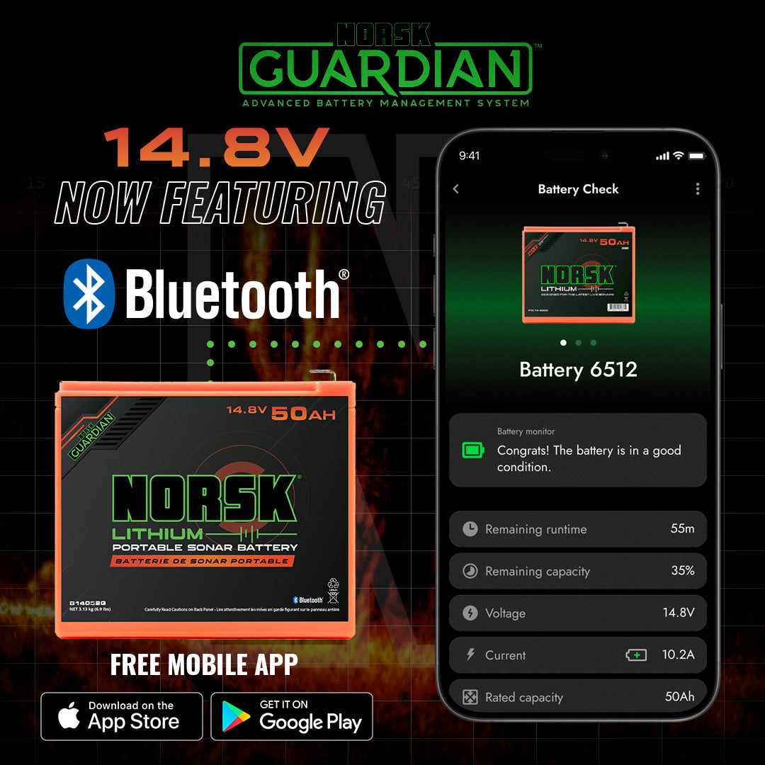 Batterie lithium-ion Norsk 14,8 V 50 Ah avec chargeur