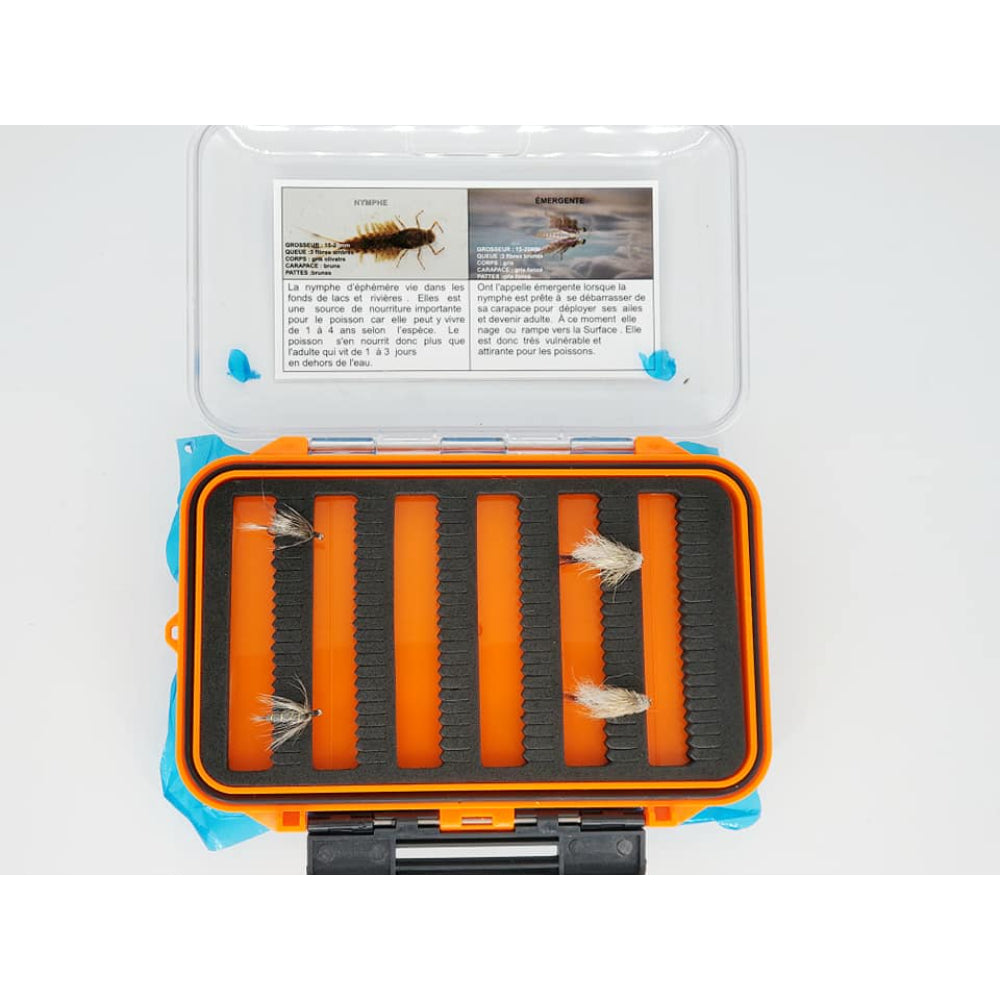 Boite Éphémère grise nymphe