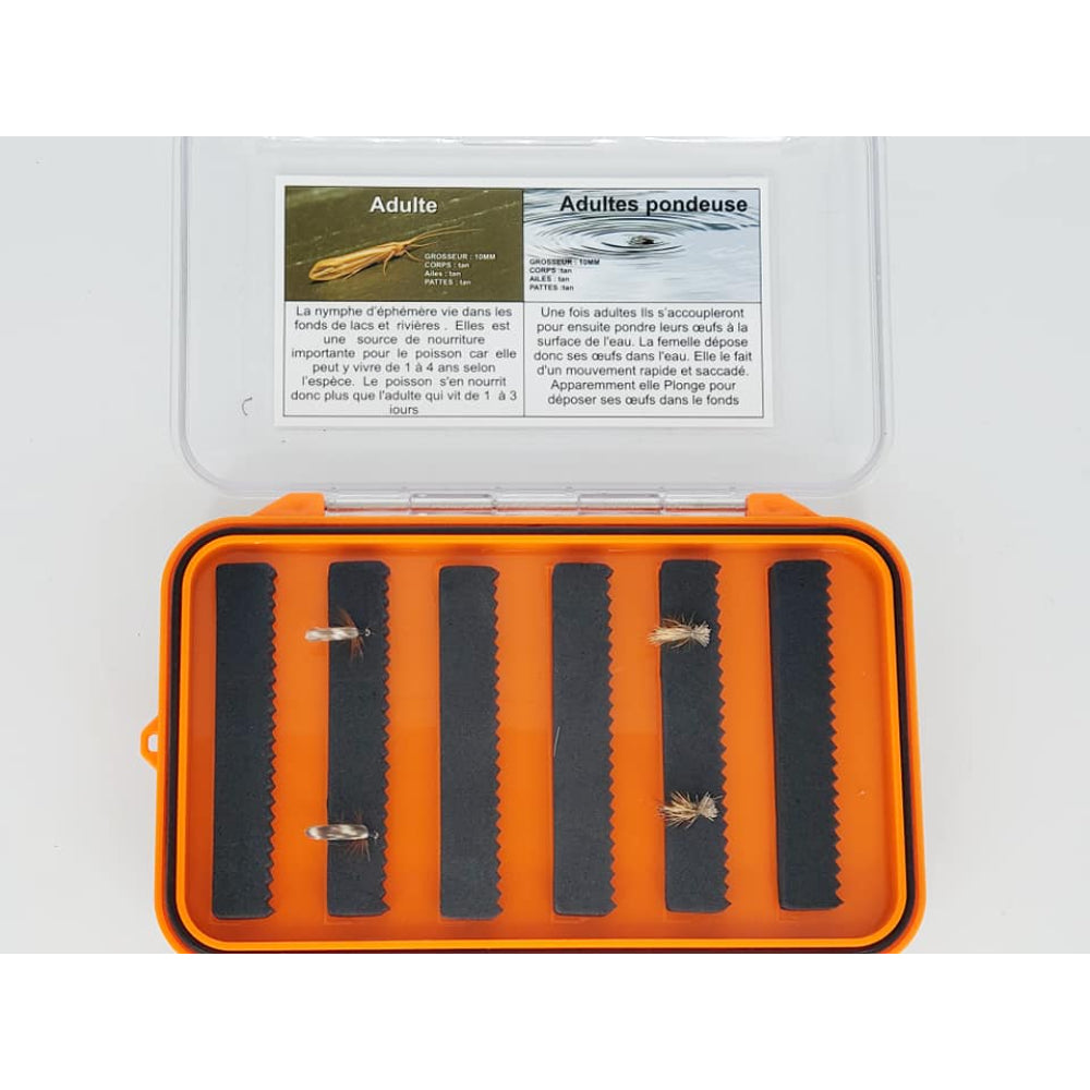 Boite entomologique caddis tan adulte et adulte pondeuse