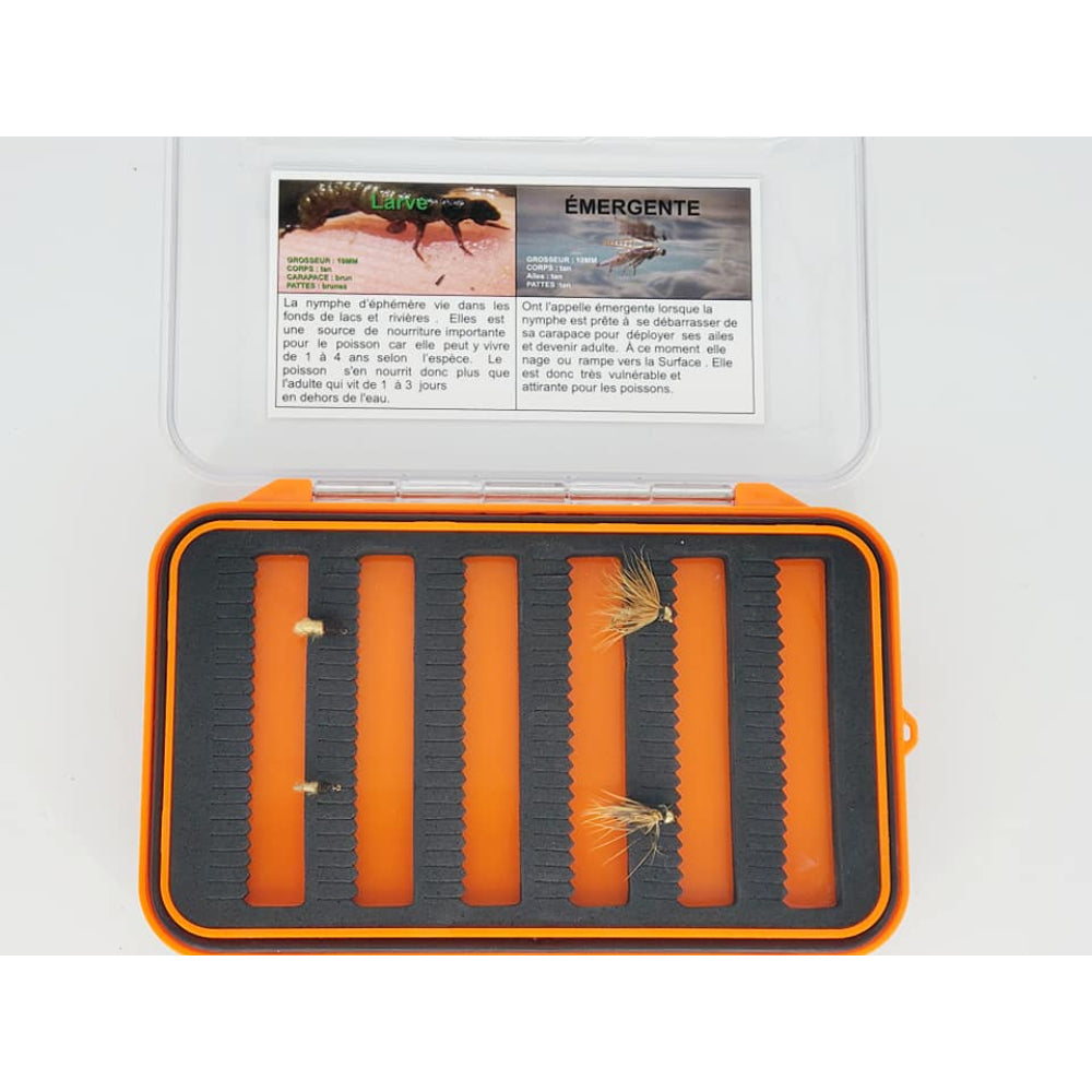 Boite entomologique caddis tan larve et émergente