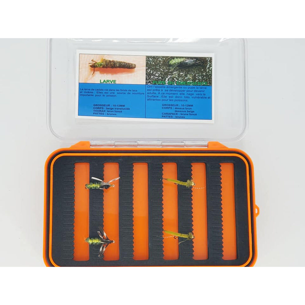 Boite entomologique caddis verte larve et émergeance