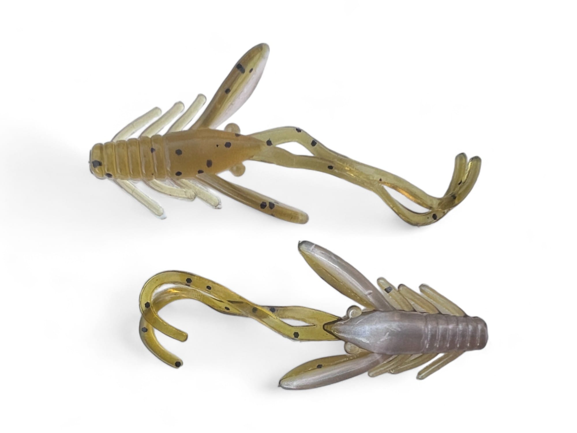 Nymphe MDP 12/Paquet -1.5 pouce