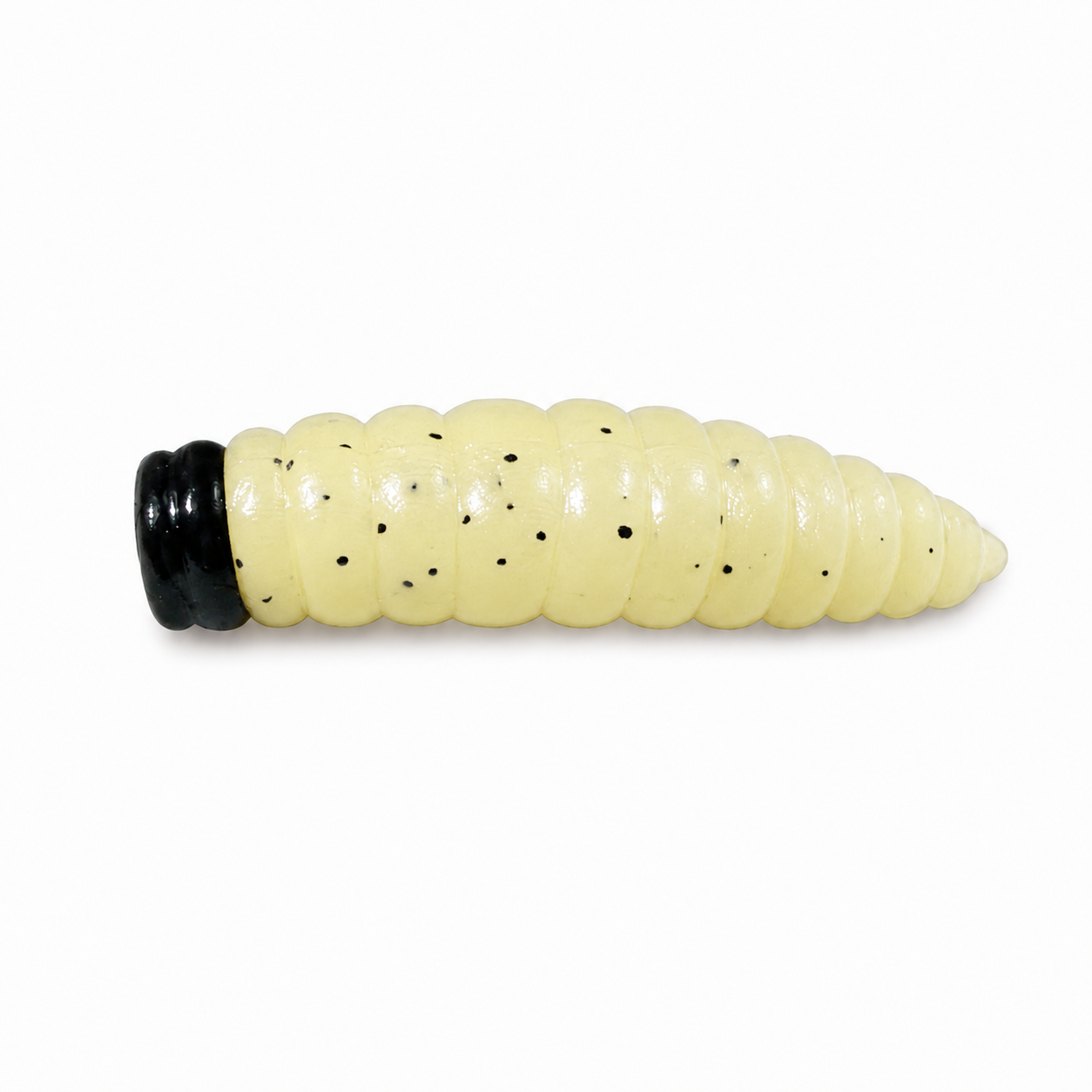 Asticot "Lazy Frank" 15/Paquet
