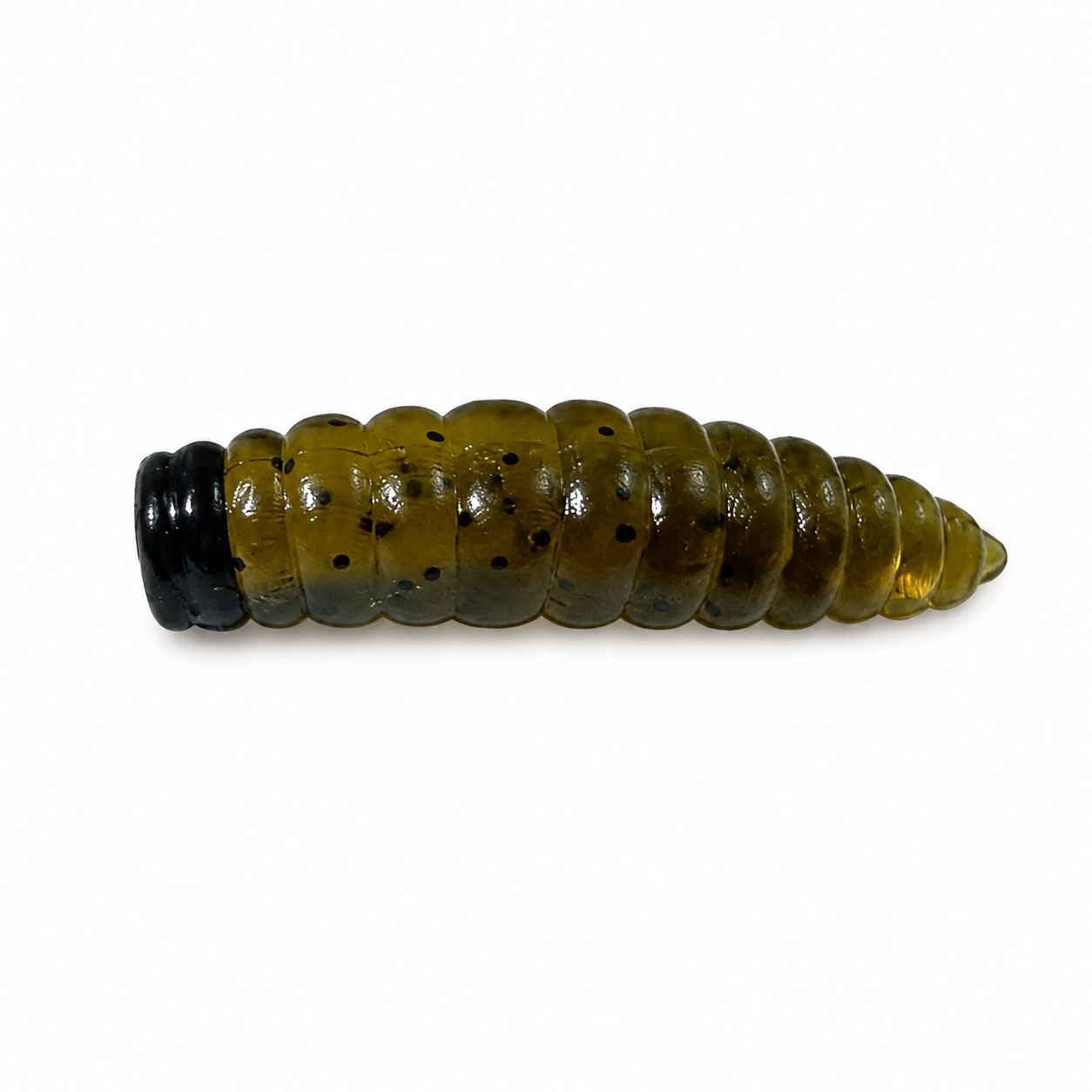 Asticot "Lazy Frank" 15/Paquet