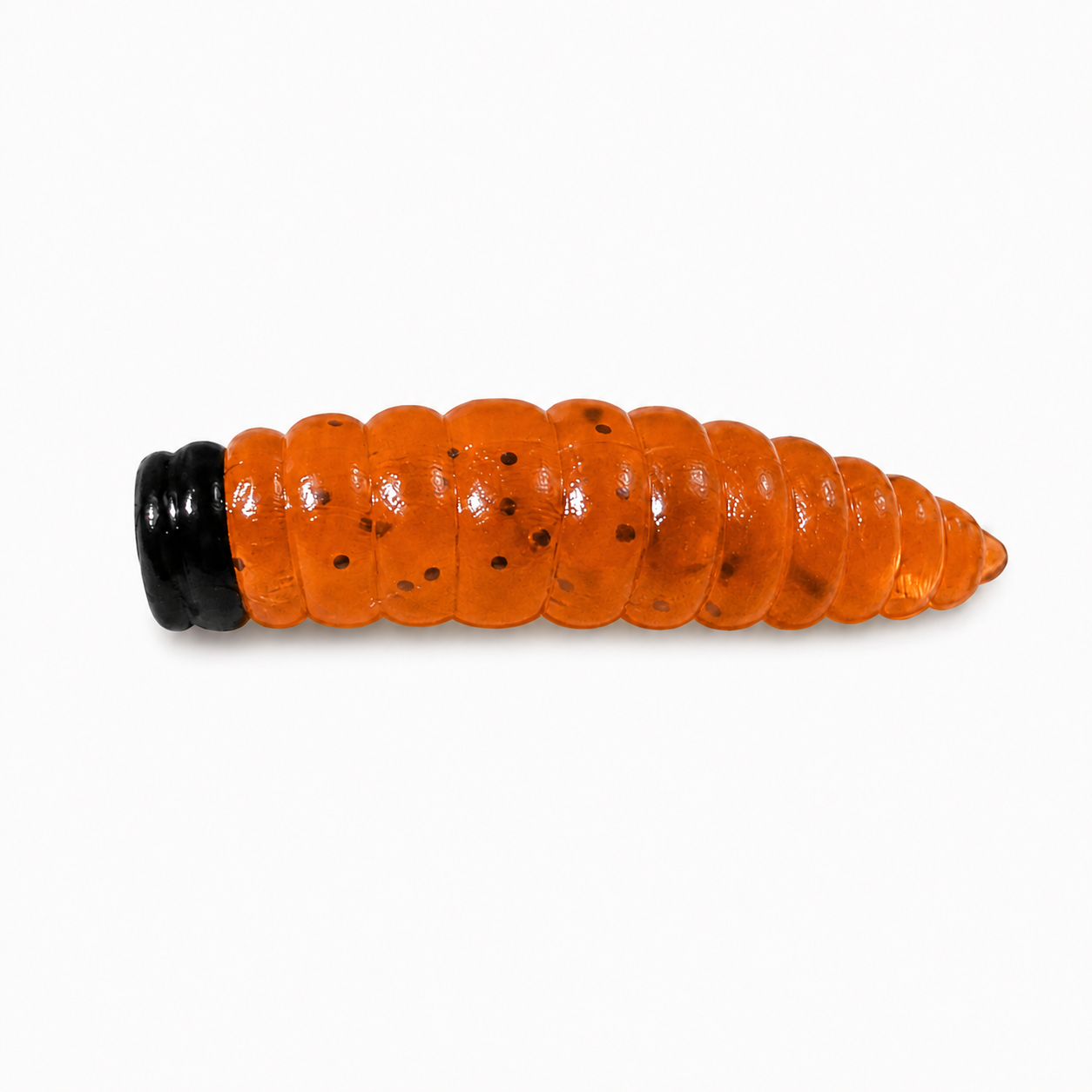 Asticot "Lazy Frank" 15/Paquet