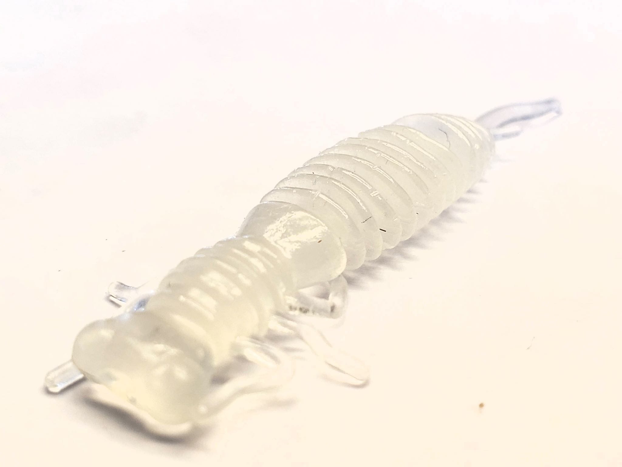 Leurre larves de libellule Crazy Billy blanc