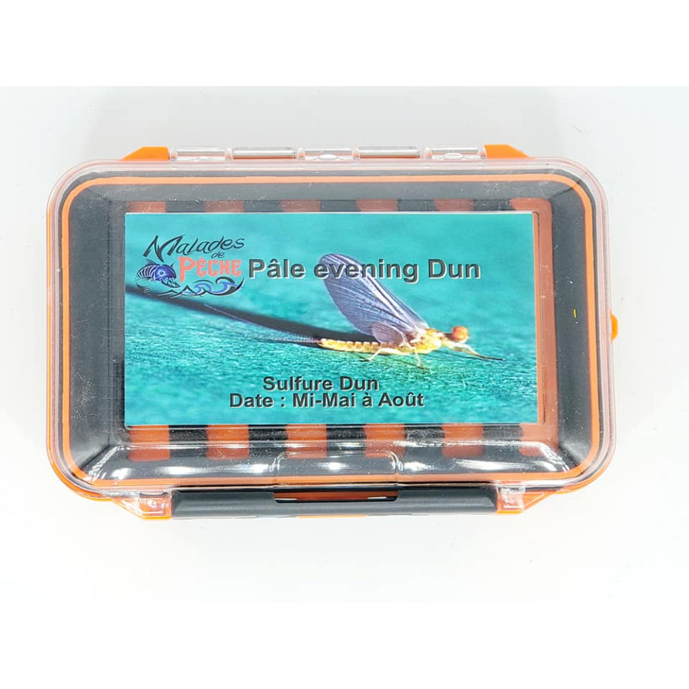 Pâle Evening Dun