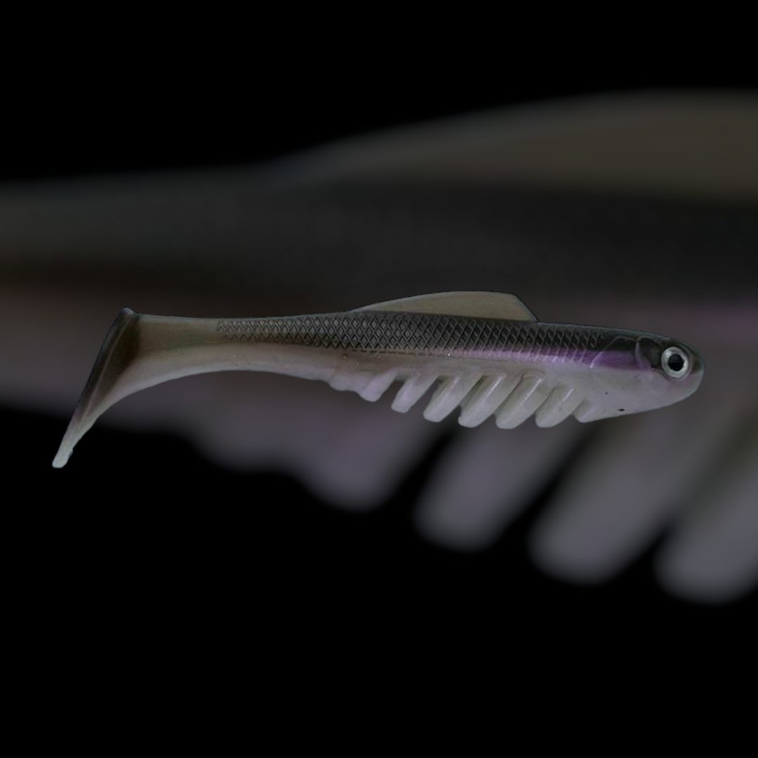 -Fat Wally Ripple MDP 3.5 pouces 8/paquet