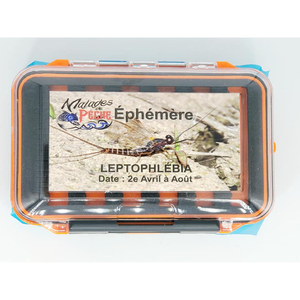 mouche Éphémère noir